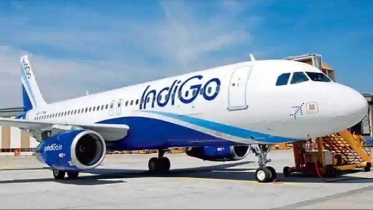 hindi-news-1